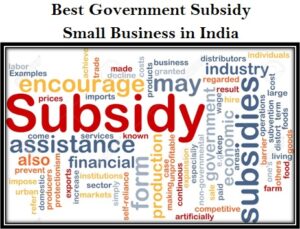 Best Government Subsidy for Small Business in India