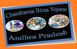 Chandranna Bima [Bheema Scheme] Yojana Andhra Pradesh [Form]