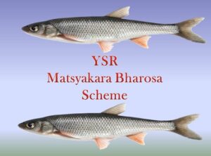 YSR Matsyakara Bharosa Scheme In AP 2022
